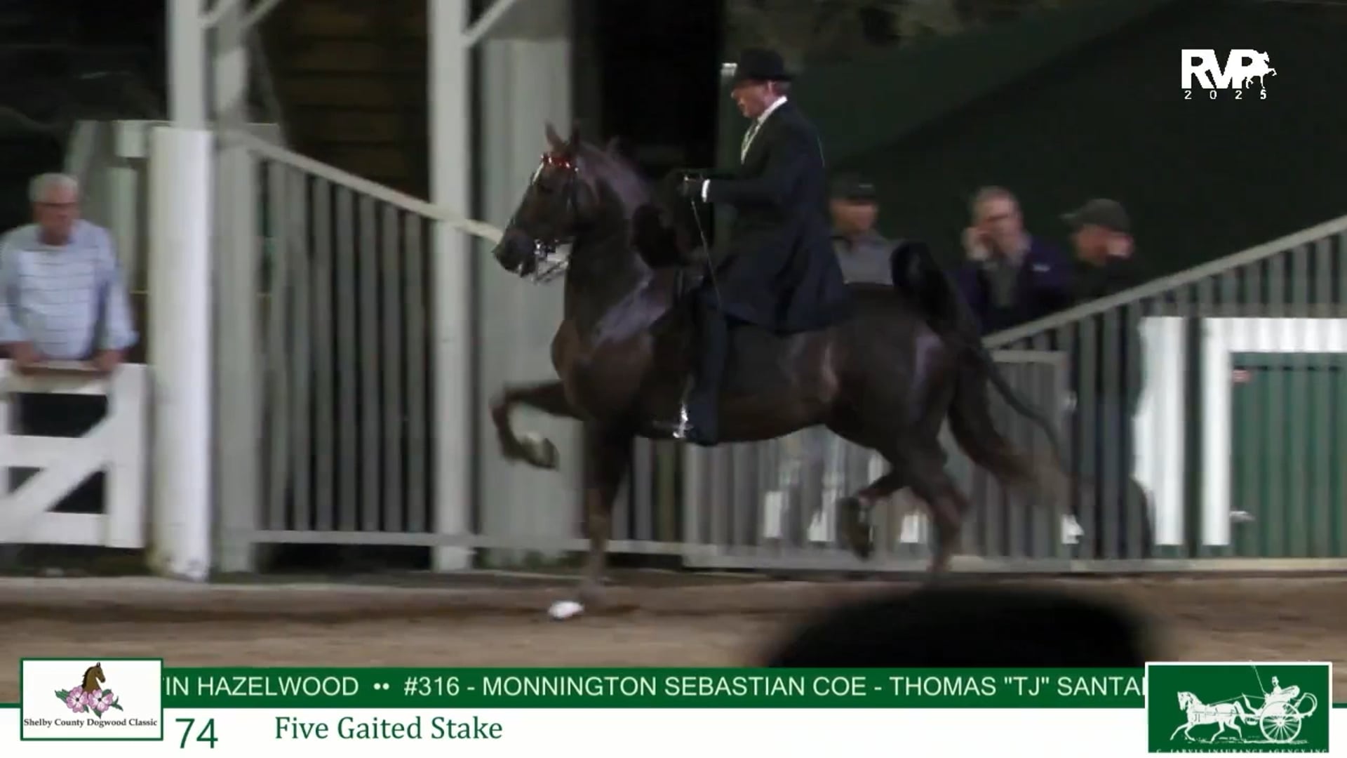 DC25 - Class 74 - Five Gaited Stake