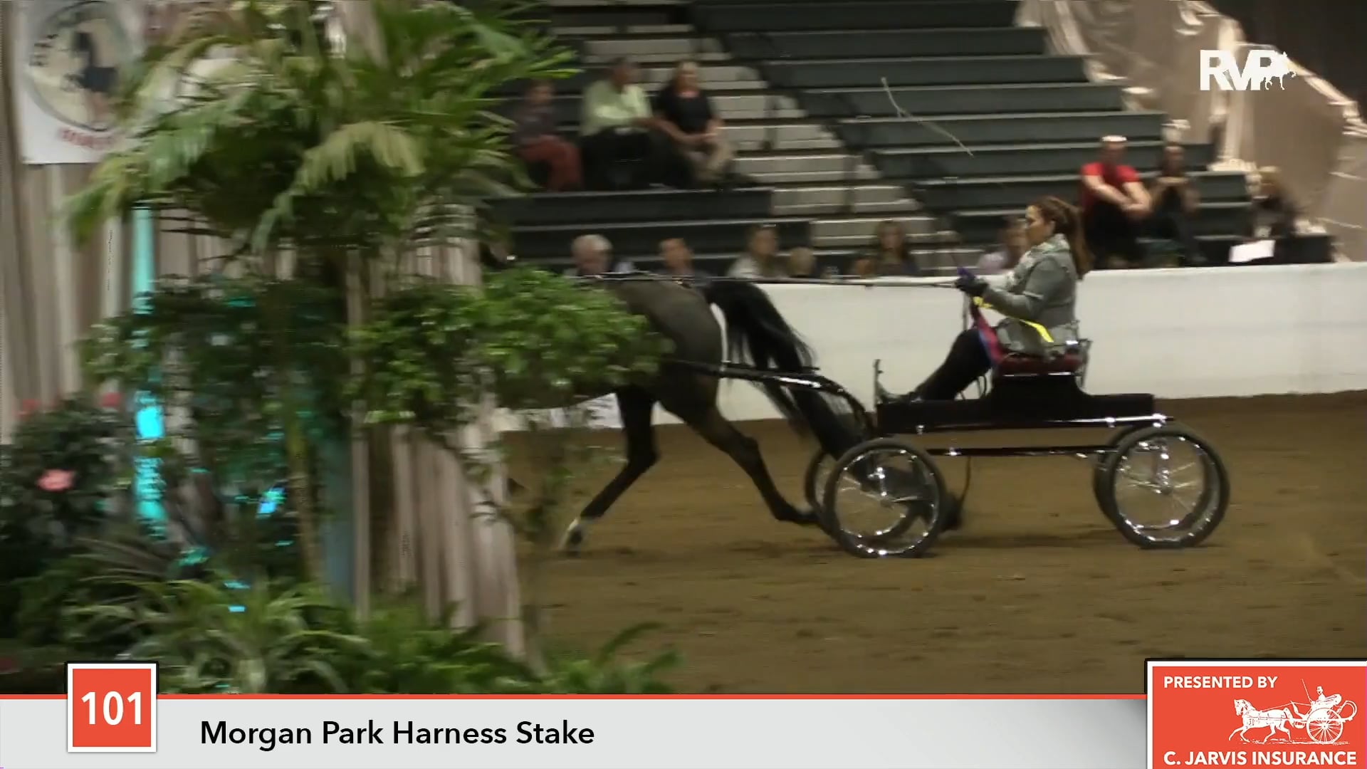 GASP18 - Class 101 - Distinguished