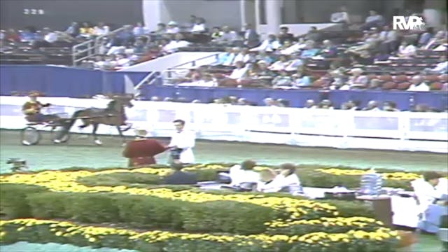 1991 WCHS Class 82 Roadster Pony Mares