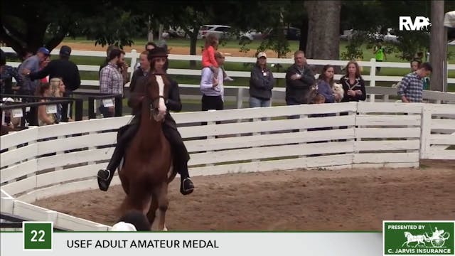 2017 RC - Class 22 USEF Adult Amateur...