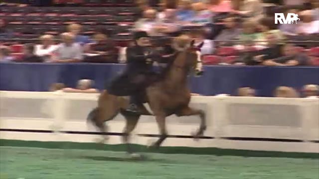 2000 WCHS Class 12 Five Gaited Show P...