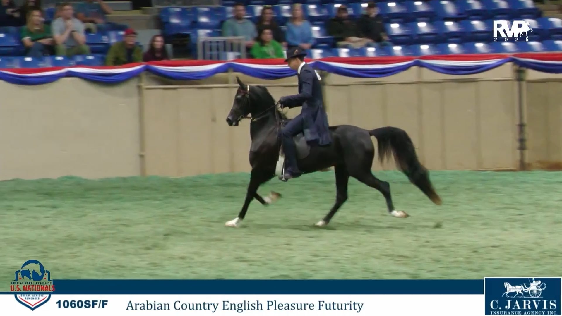 AN25 - Class 1060 - Arabian Country English Pleasure Futurity