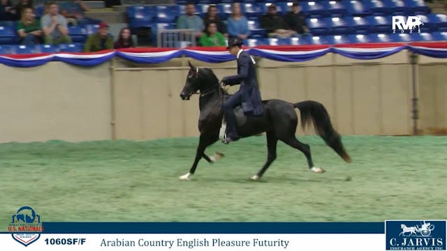 AN25 - Class 1060 - Arabian Country E...