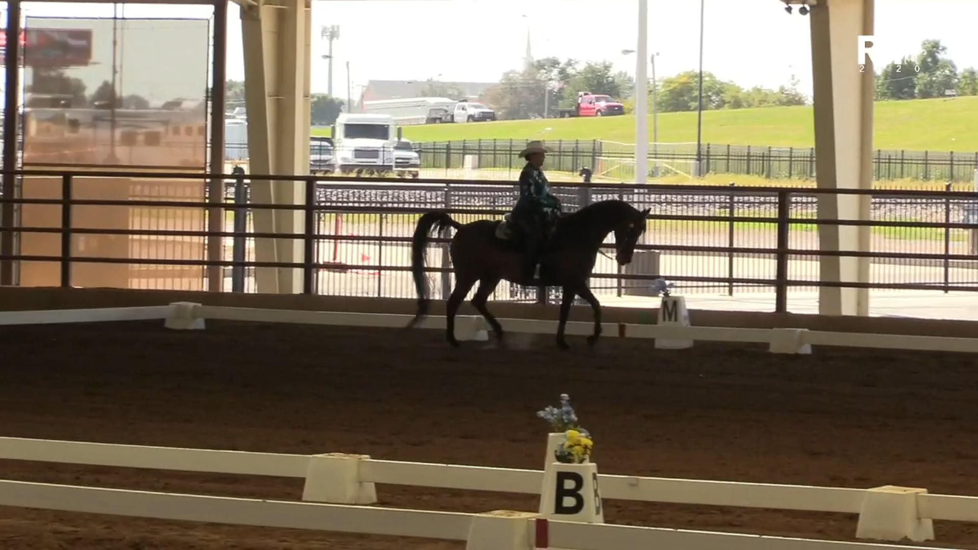 2020 MGN - 10:11 - Sunday  - West Covered Arena - Part 2 of 2