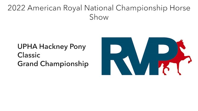 AR22 - Class 119 - UPHA Hackney Pony ...