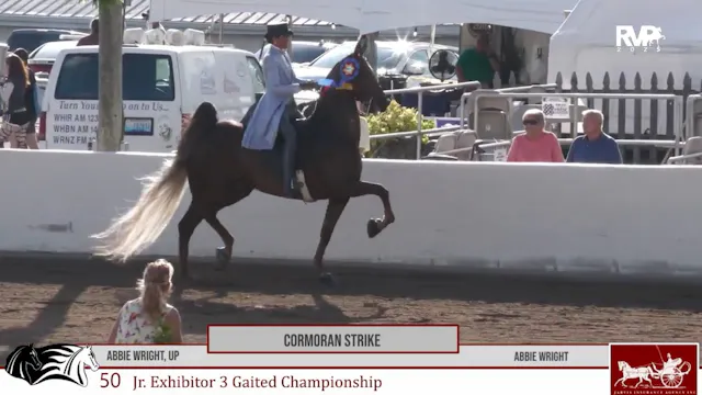 MCF25 - Friday Evening Recap