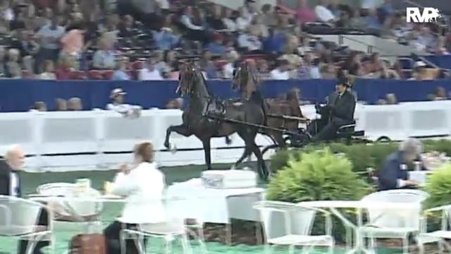 2010 World's Championship Horse Show ...