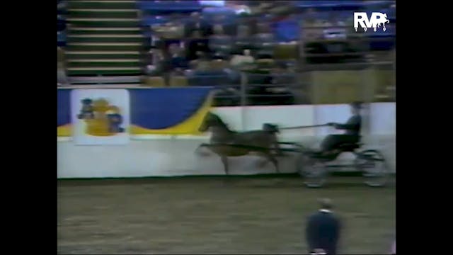 1989 AR - UPHA Harness Pony Classic G...