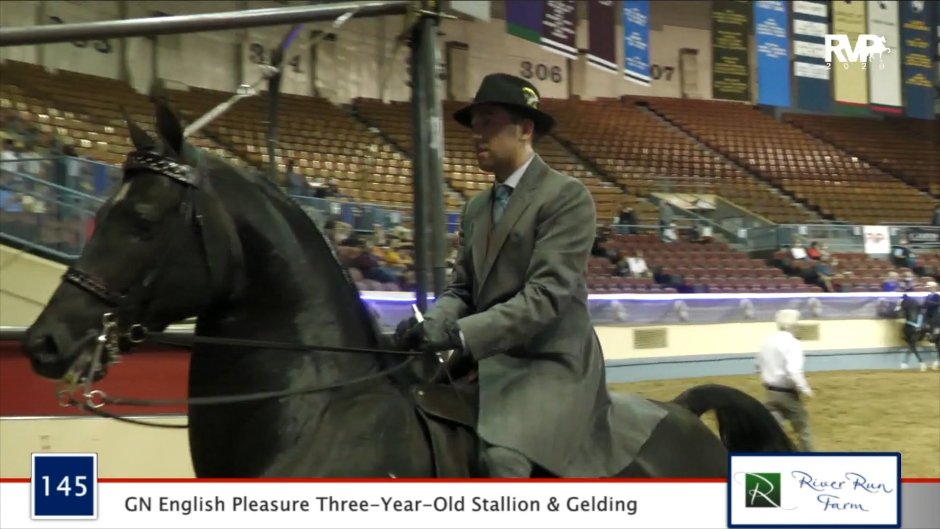 2020 MGN - Class 145 GN English Pleasure Three-Year-Old Stallion & Gelding