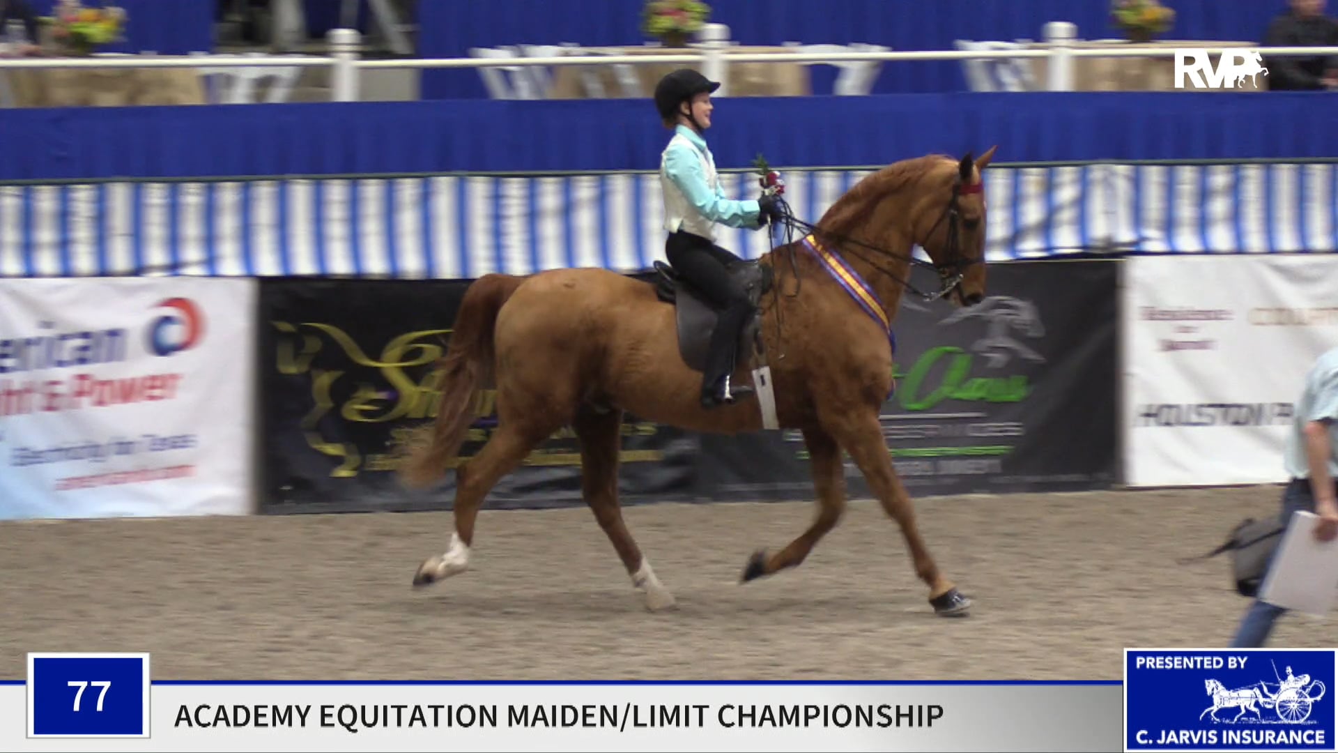 PO19 - Class 77 - Shelby Hardin, up