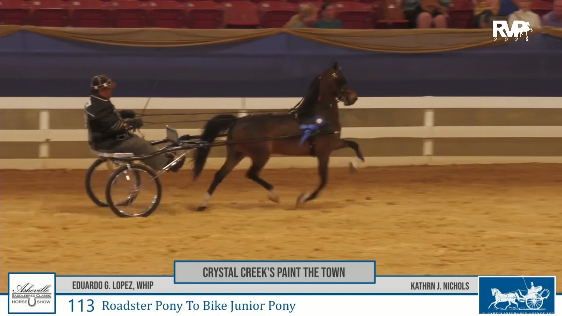 ASC25 - Class 113 - Crystal Creek's Paint the Town and Eduardo Lopez, Whip