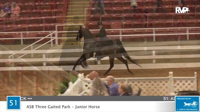 2020 ASF - Class 51 ASB Three Gaited ...