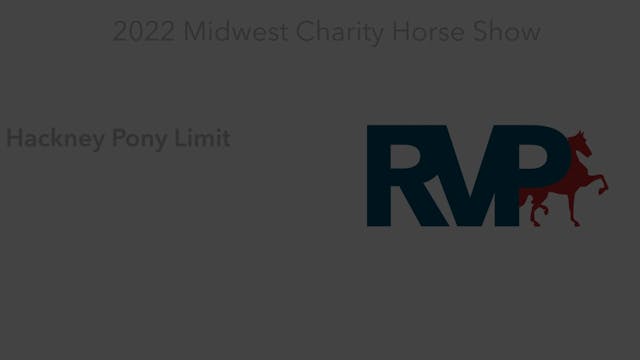 MW22 - Class 135 -  Hackney Pony Limit
