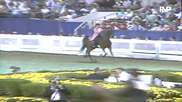 1991 WCHS Class 77 Junior Exhibitor T...