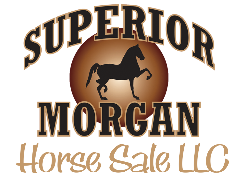 2022 Superior Morgan Sale - Saturday