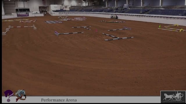 2024 Youth Arabian Nationals - Perfor...