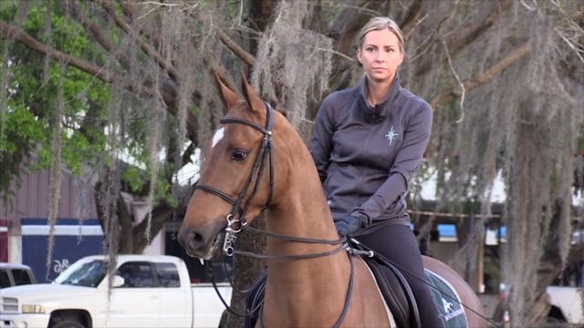 2022 Gasparilla Charity Horse Show