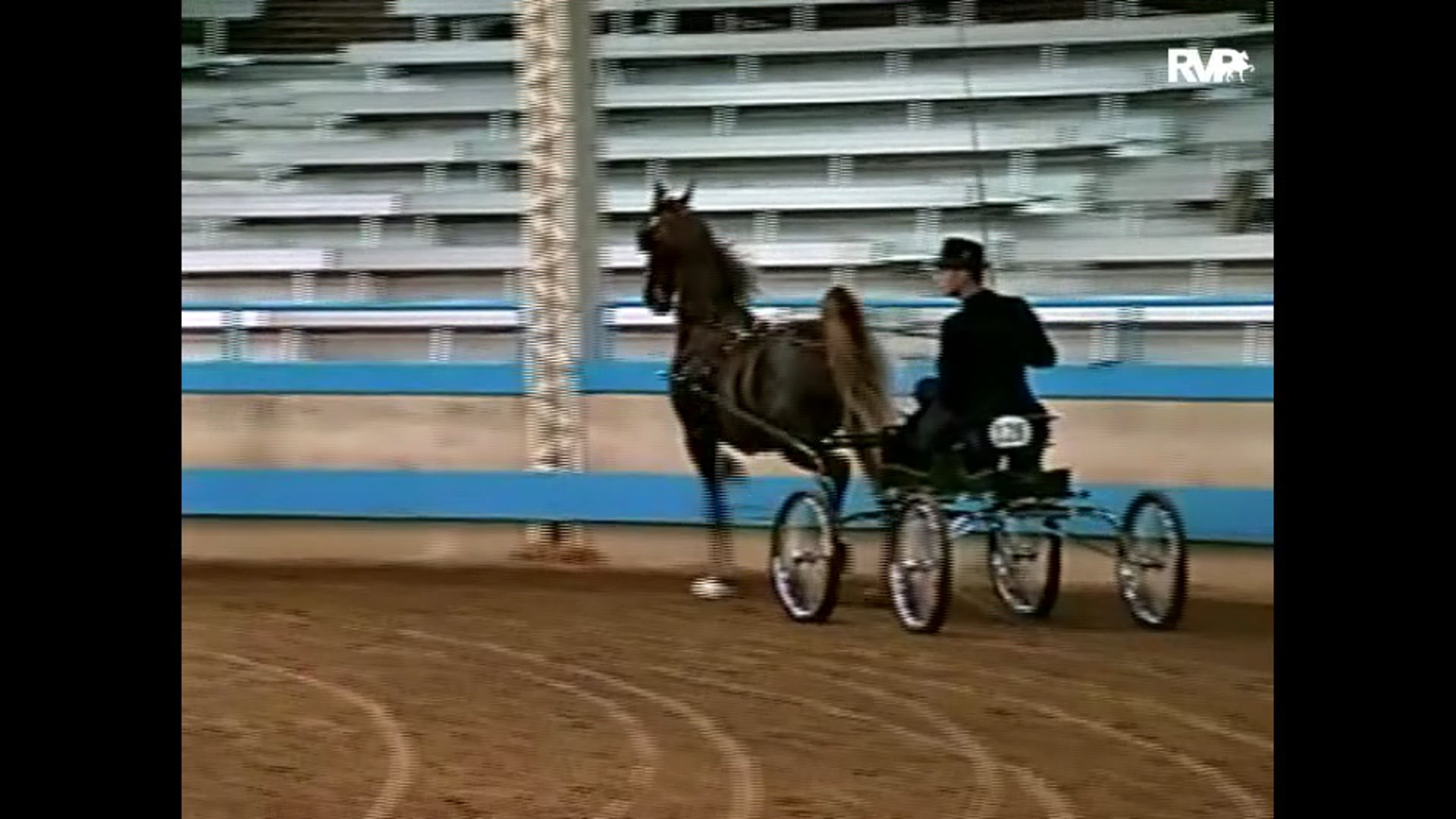 2001 Des Moines Springfest - Albelarm Elegant Lady and Dr. Alan Raun, whip