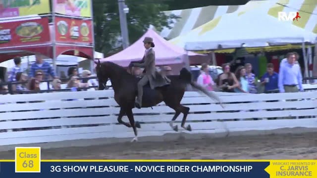 2015 RC - Class 68 Three Gaited Show ...