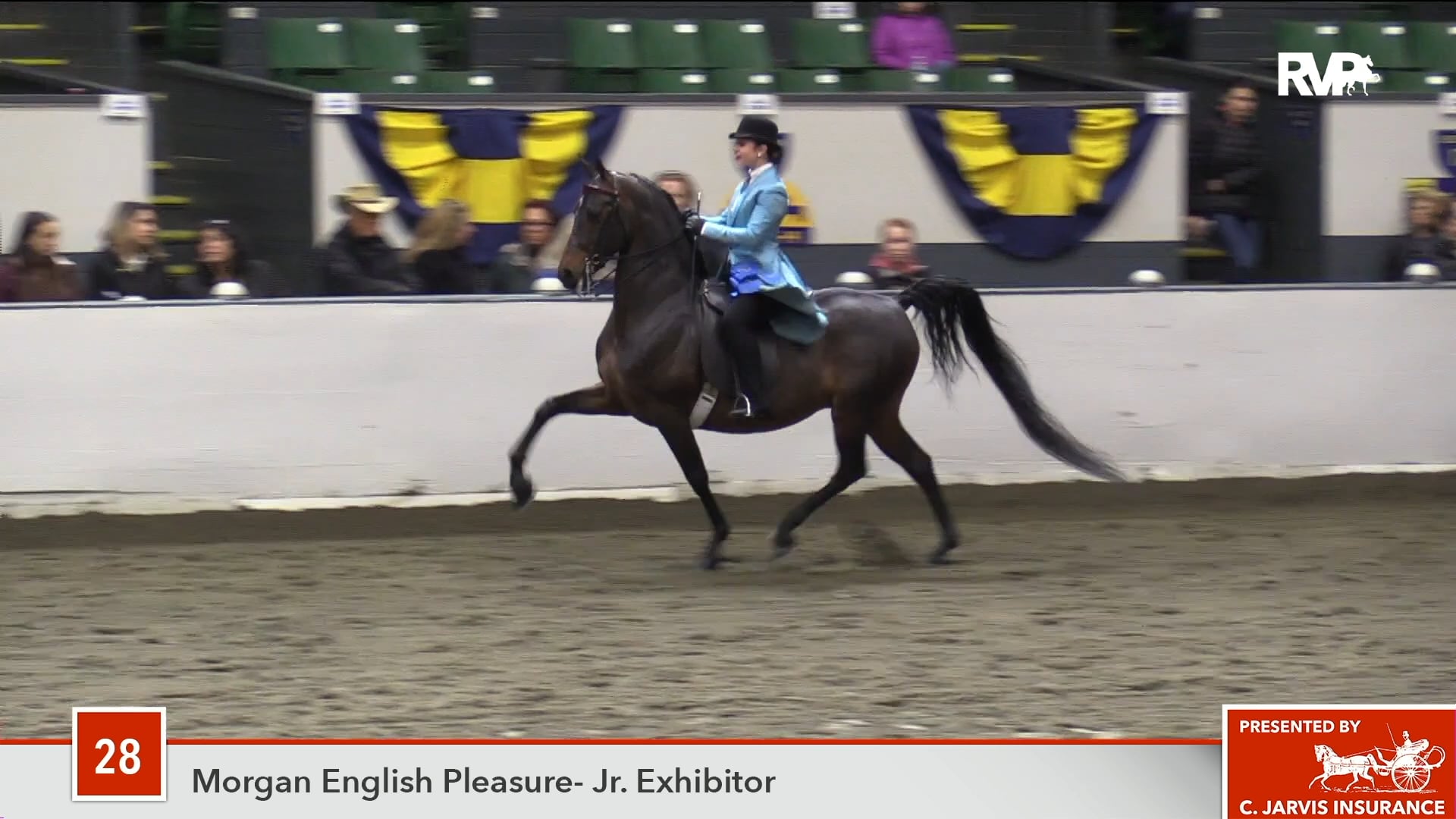 UPHA14-18 Class 28 Ledyard's Midas Touch