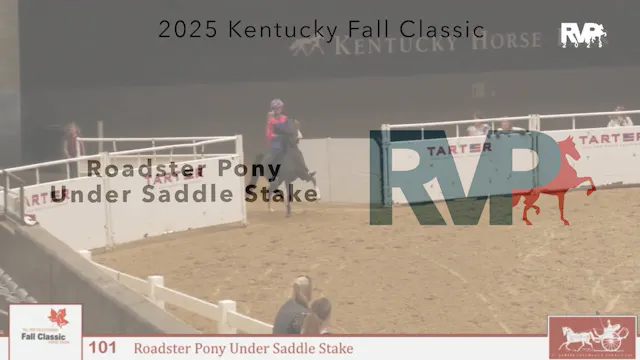 KFC25 - Class 101 - Roadster Pony Und...