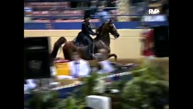1999 Midwest Charity - 3 Gaited Show ...