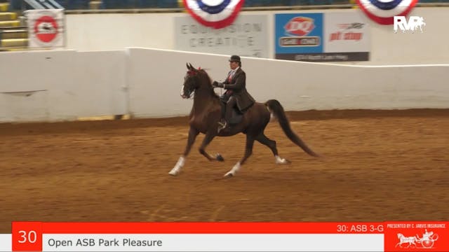 ASHAV23 - Class 30 - ASB Three Gaited...