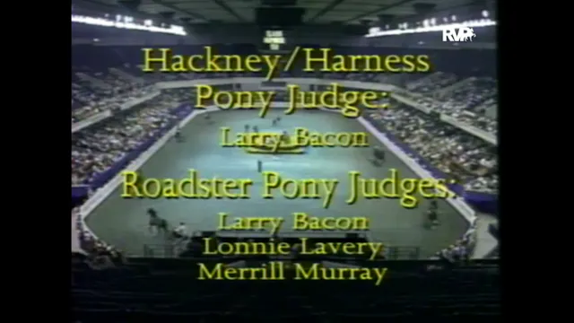 Revue - 1993 WCHS Edition