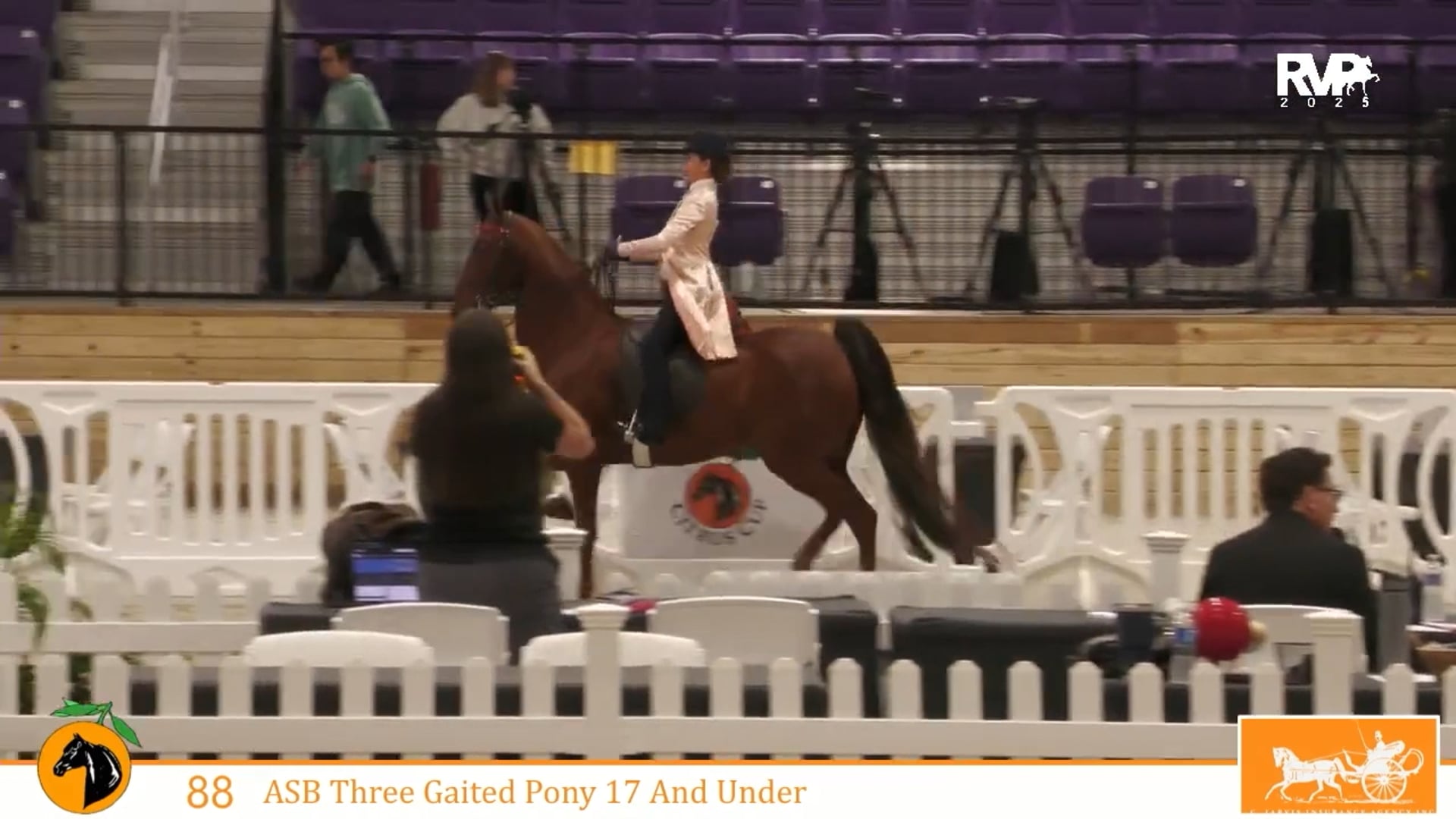 CC25 - Class 88 - ASB Three Gaited Pony 17 & Under