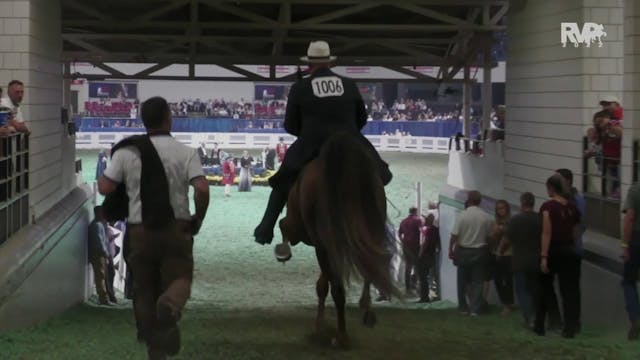 WCHS22 - Class 160 - Five Gaited Geld...