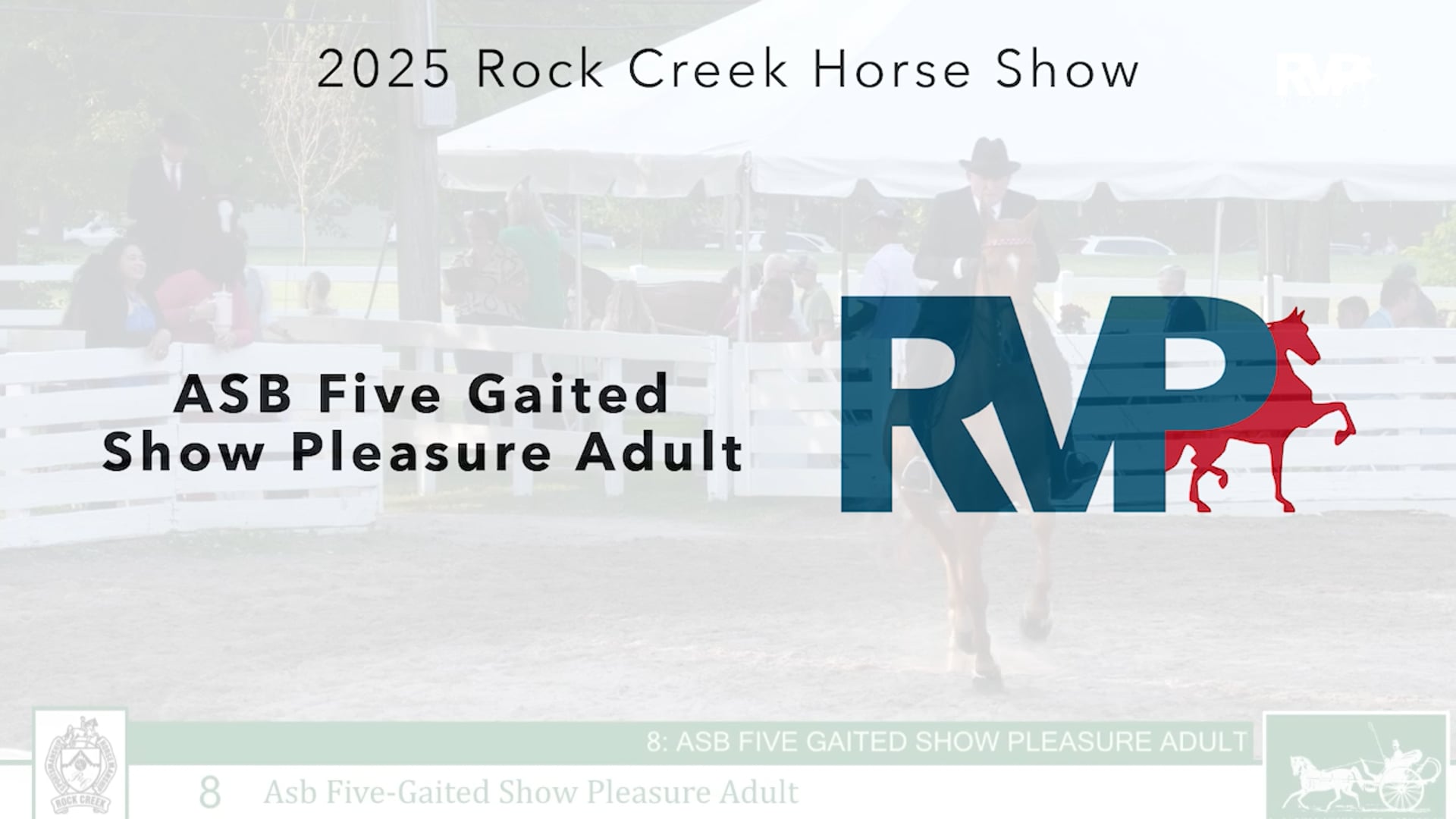 RC25 - Class 8 - ASB Five Gaited Show Pleasure Adult