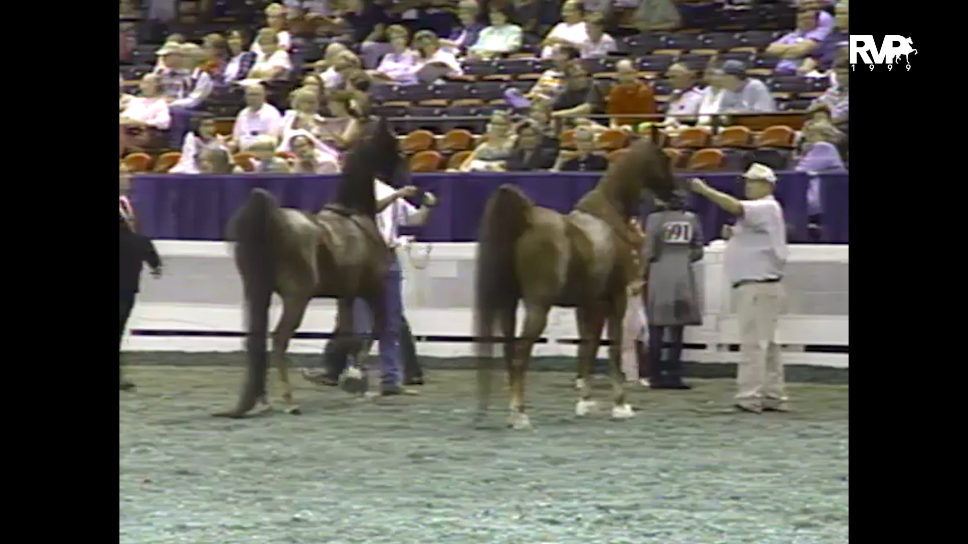 1999 WCHS - Class 178 Junior Exhibitor 13 & Under Five Gaited Championship