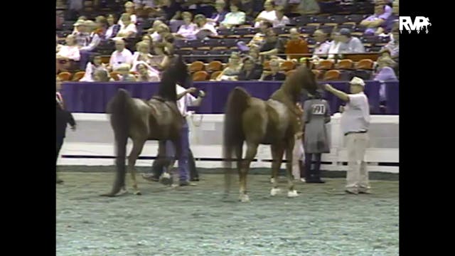 1999 WCHS - Class 178 Junior Exhibito...