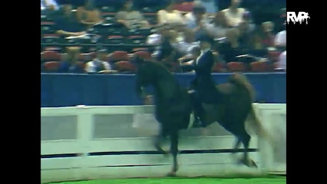 1995 WCHS - Class 2 -  Kentucky Equit...