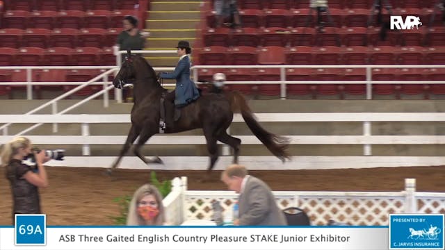 2020 ASF - Class 69A Three Gaited Eng...
