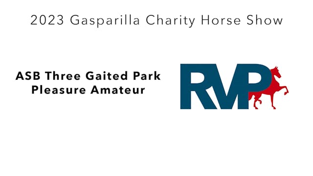 GASP23 - Class 22 - ASB Three Gaited ...