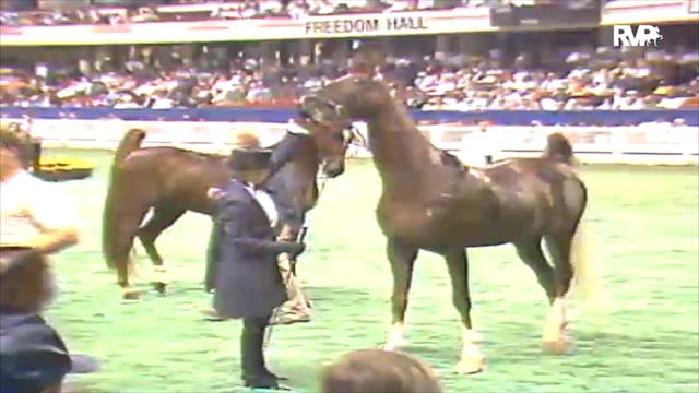 1992 WCHS Class 125 Junior Exhibitor ...