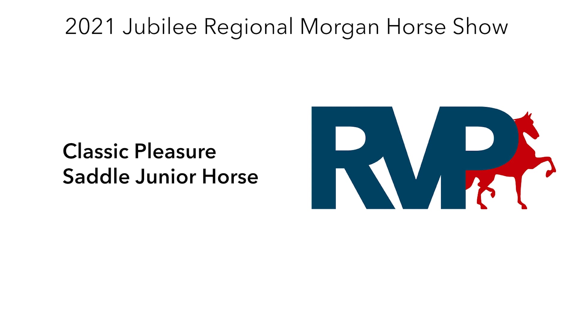 MJ21 - Class 91 - Classic Pleasure Saddle Junior Horse