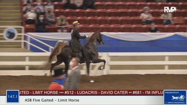 BR20 - Class 147.1 ASB Five Gaited Li...