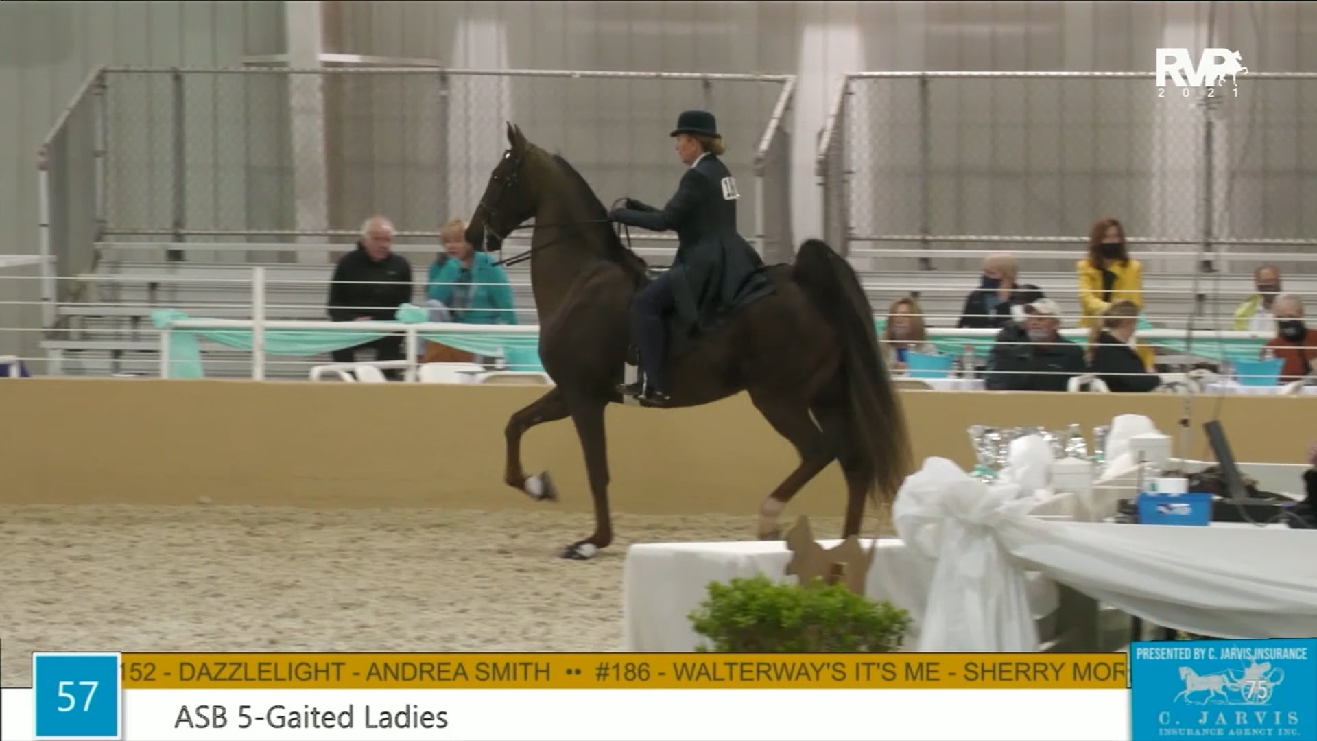 BS21 - Class 57 - ASB Five Gaited Ladies