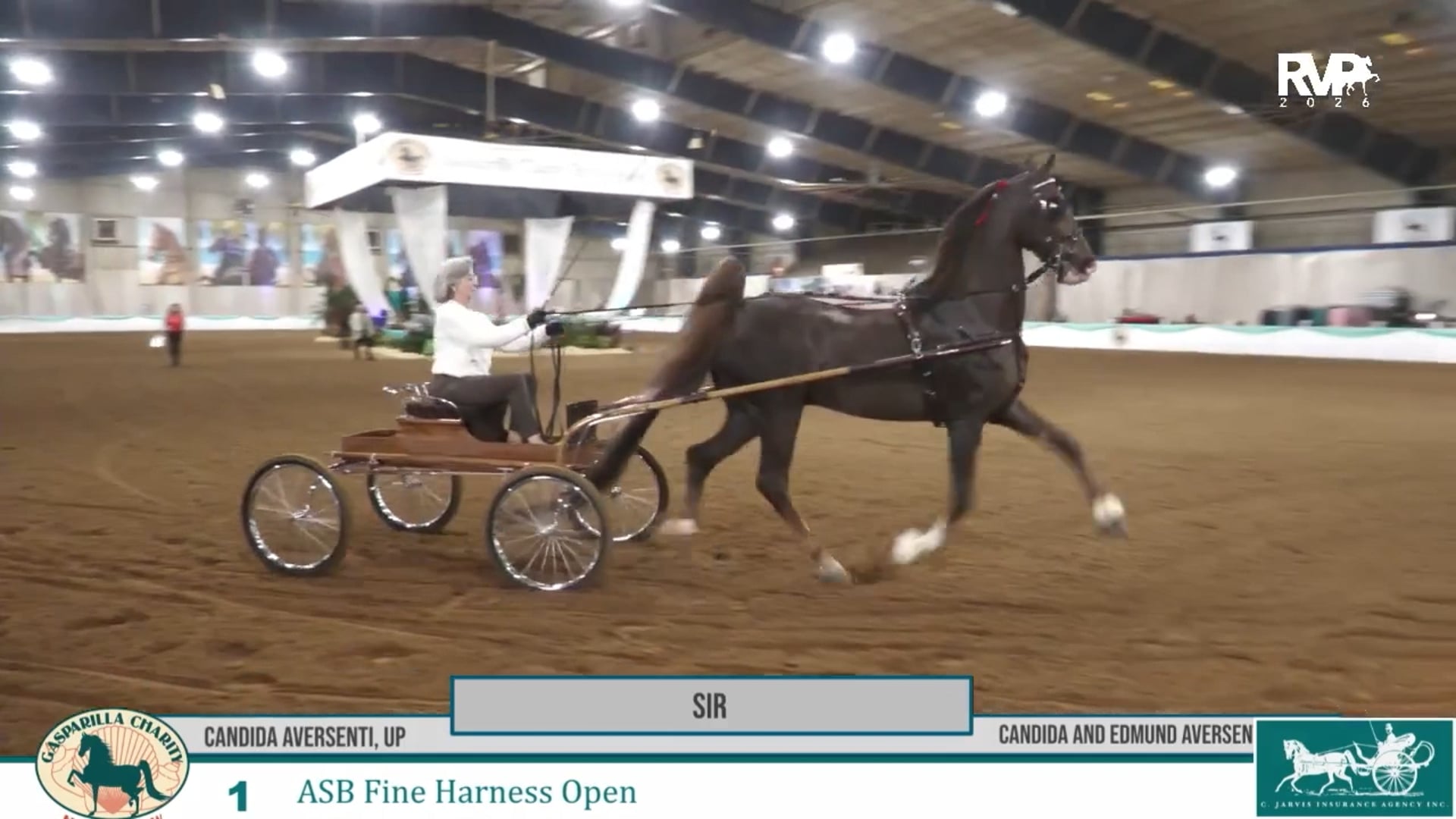 GC26 - Class 1 - Sir and Candida Aversenti, Whip