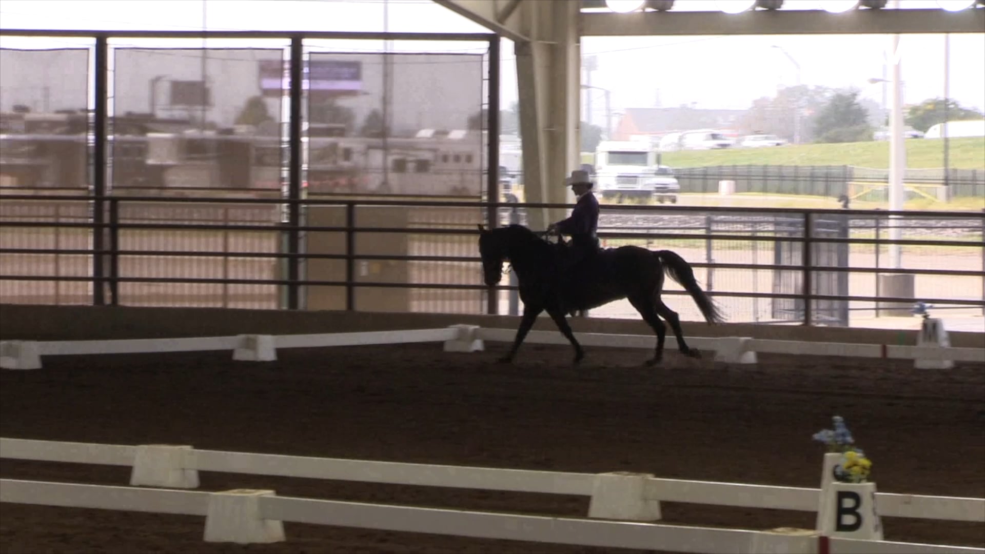 2020 MGN - Class 612 GN Western Dressage Level 1 Test 3 AmateurJunior Exhibitor 
