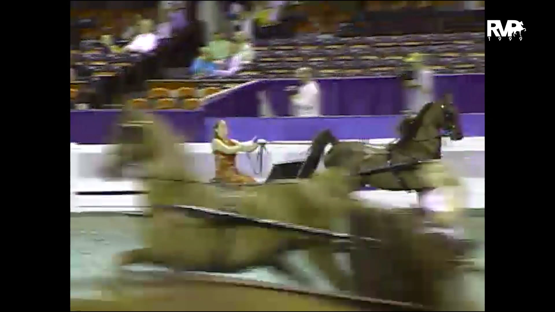 1999 WCHS - Class 117 ASB Show Pleasure Driving Junior Exhibitor 17 & Under