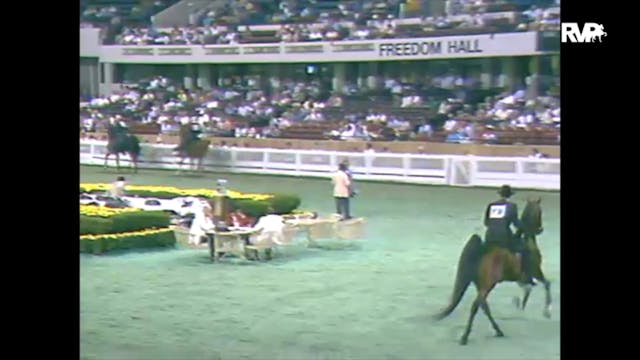 1988 WCHS Class 128 Three Year Old Fi...