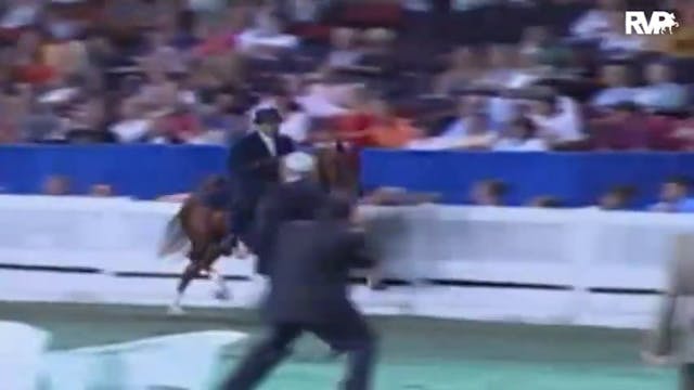 2009 World's Championship Horse Show ...