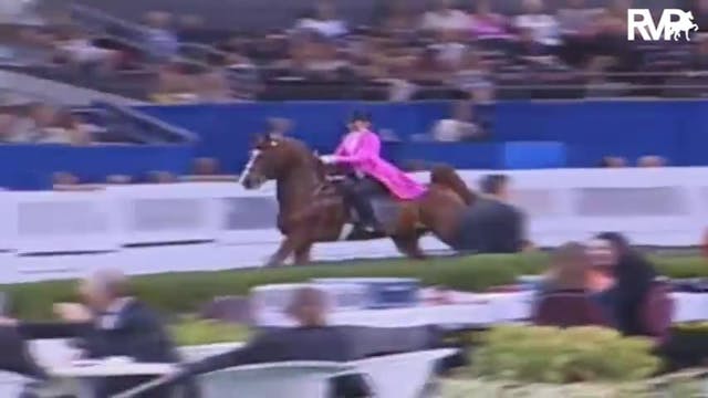 2009 World's Championship Horse Show ...