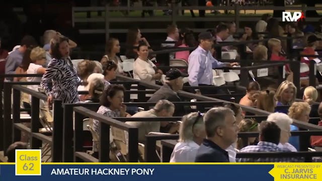 2015 RC - Class 62 Amateur Hackney Pony 