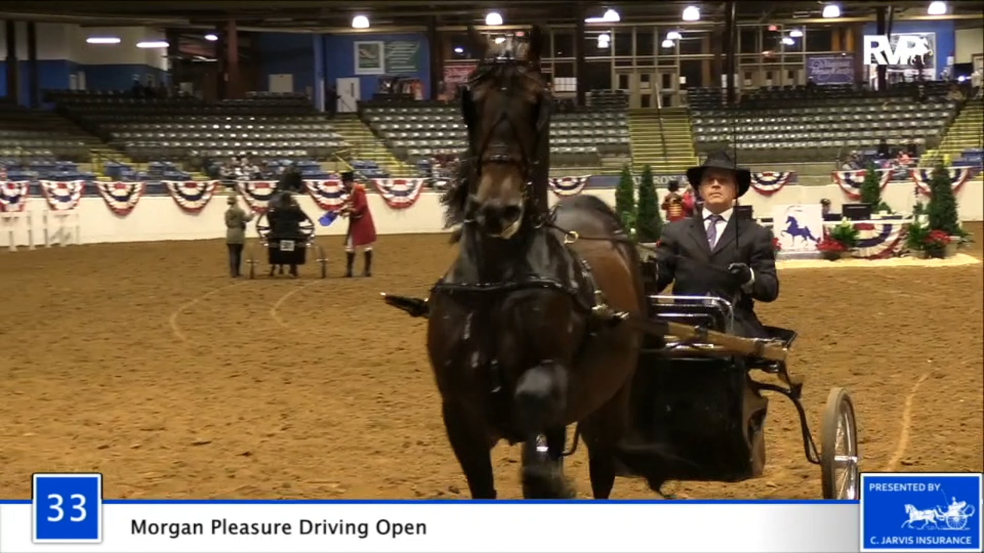 2020 BB - Class 33 Morgan Pleasure Driving Open