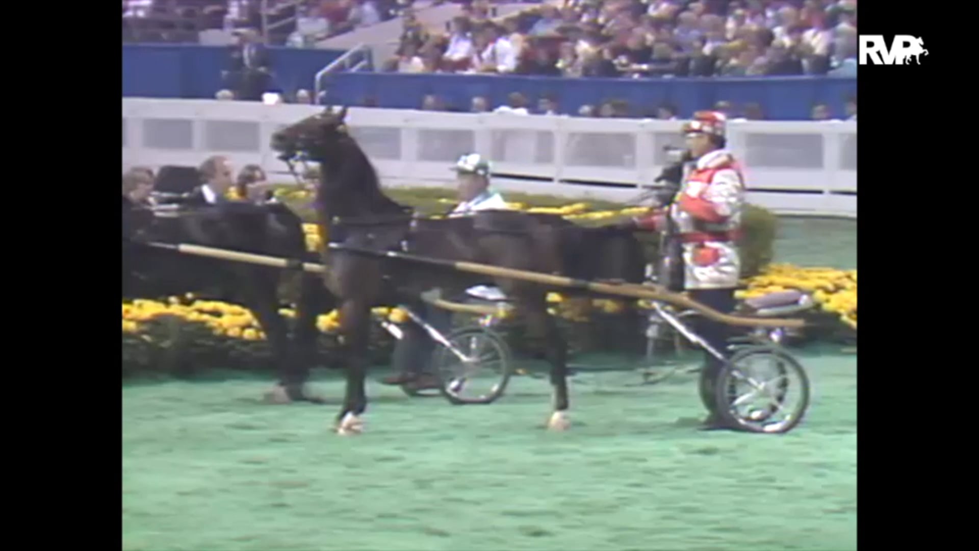 1993 WCHS Class 171 Roadster Pony Championship