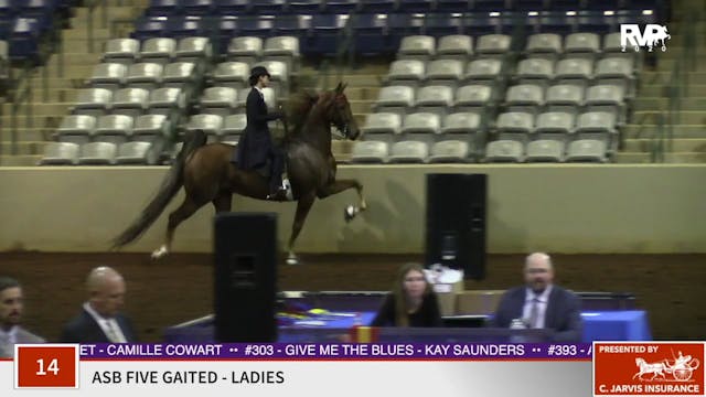 2020 SSFF - Class 14 ASB Five Gaited ...